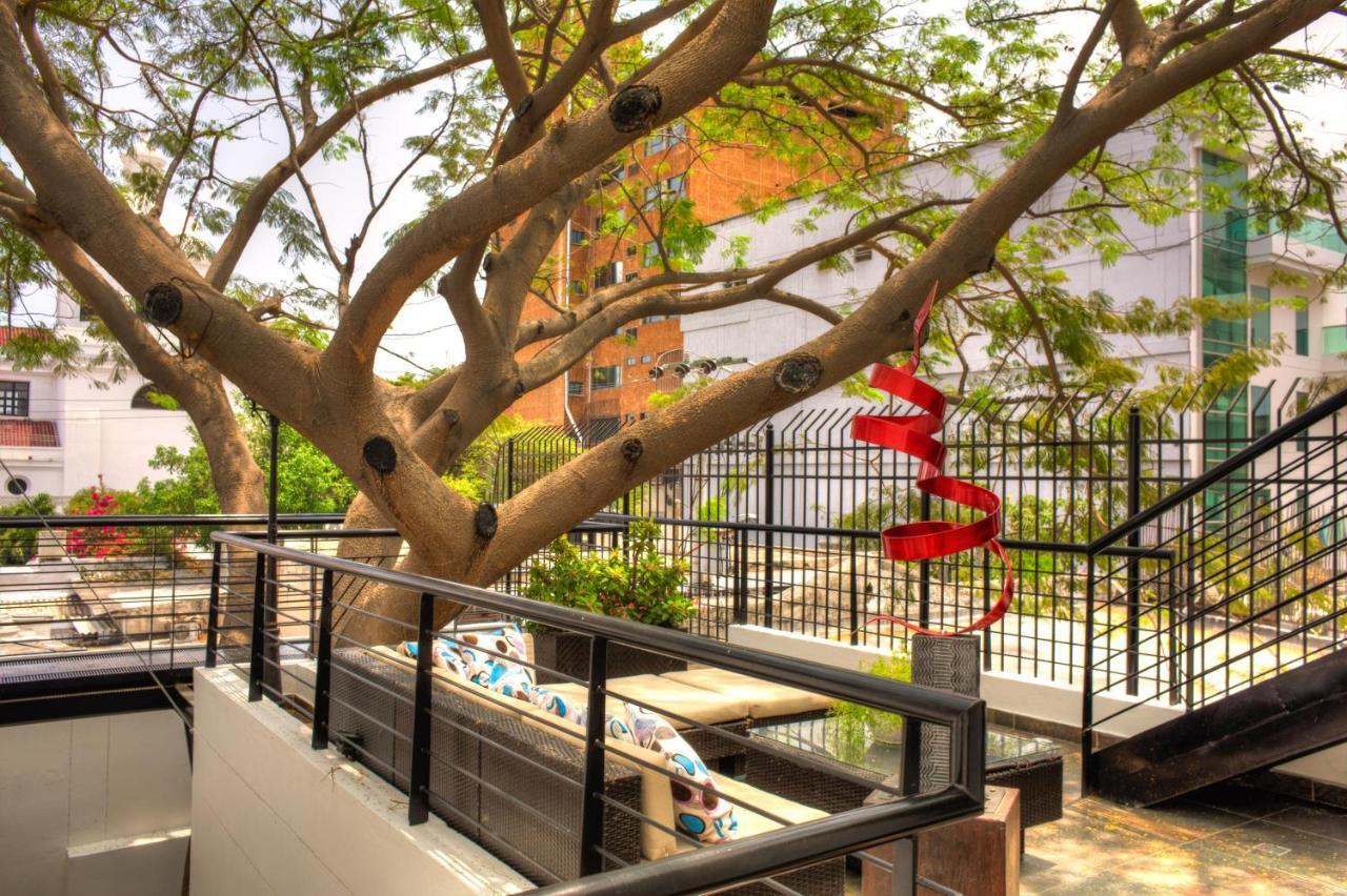 Casa De Leda, A Kali Hotel Santa Marta  Exteriér fotografie The tree at the center of the courtyard