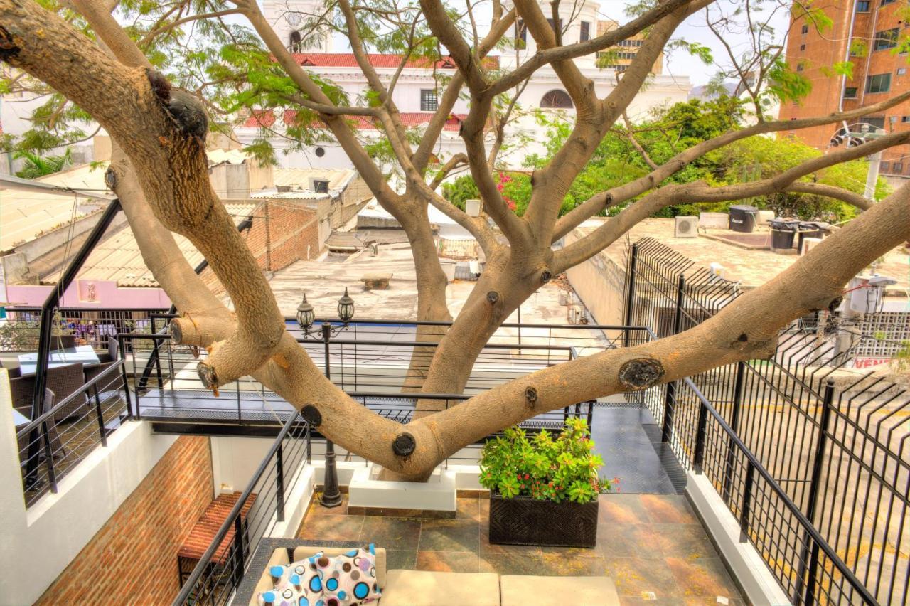 Casa De Leda, A Kali Hotel Santa Marta  Exteriér fotografie The tree in 2019